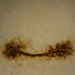 yamamoto image